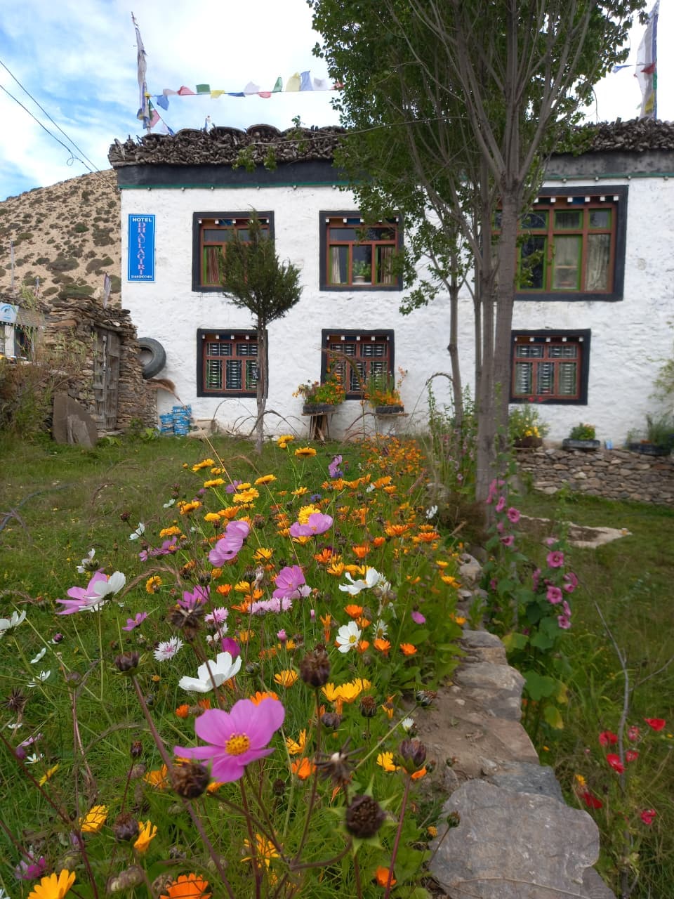 Garden Camping Site